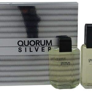 Antonio Puig Quorum Silver for Men (Gift Set, 100 ml)