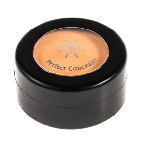 Missha The Style Perfect Concealer - Light Beige