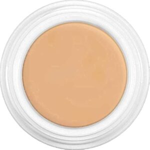 KRYOLAN DERMACOLOR CAMOUFLAGE CREME 4 G - D 62