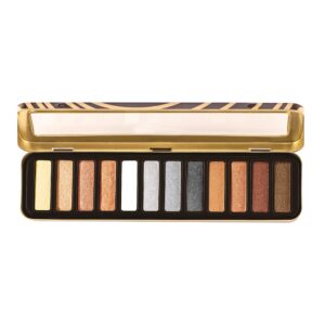 Max Touch Eye Texture 12 Color Eye Shadow Palette MT-2443 (Comb No. 2)